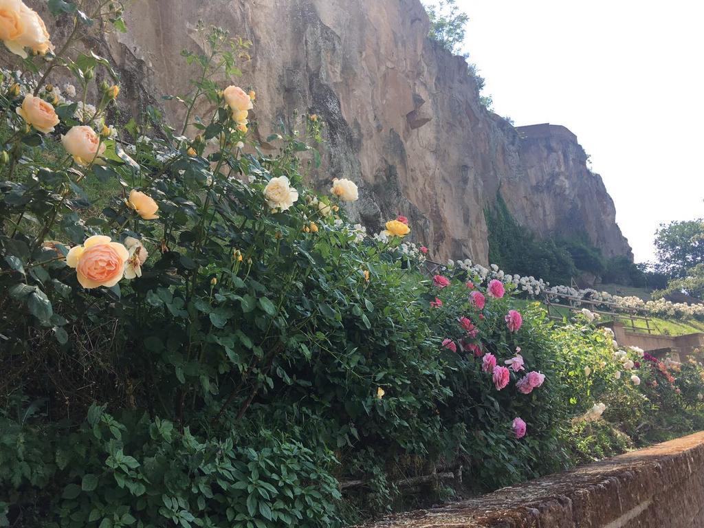 Misia Resort Orvieto Kültér fotó